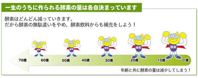 酵素の生産量は低下する