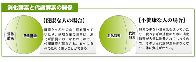 酵素の使い方で健康は左右される