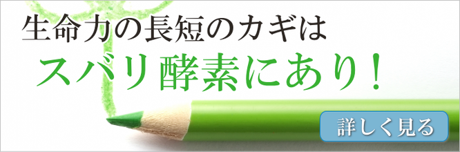 生命力の長短のカギはズバリ酵素にあり