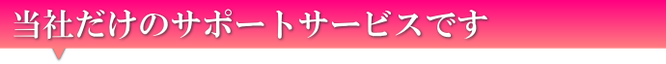 ＮＳＰ新美健ビオチームだけのサポートサービスです