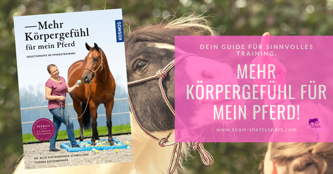 Mehr Körpergefühl für mein Pferd! Ergotherapie im Pferdetraining. Dein Guide für SINNvolles Training: So wird Dein Pferd zum Bewegungskünstler.