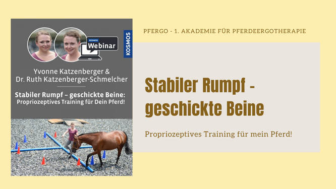 Stabiler Rumpf - geschickte Beine: Propriozeptives Training für mein Pferd!