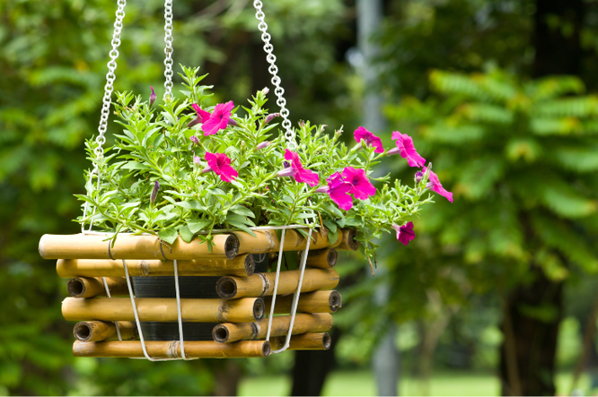 Je balkon inrichten doe je met deze 4 planten tips