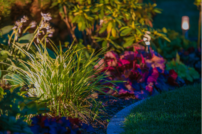 10 creatieve ideeën voor LED-stripverlichting in de tuin