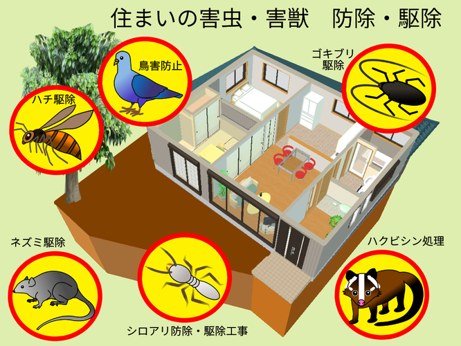 住まいの害虫害獣防除駆除