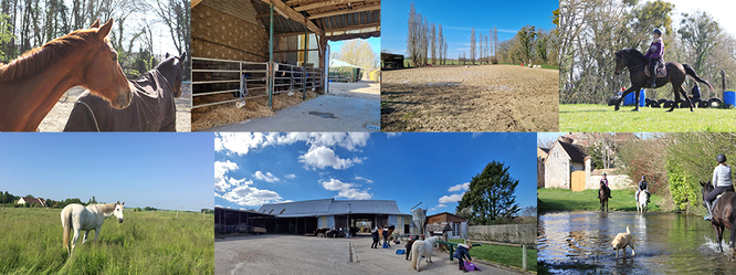 L'écurie des 2R, pension pour chevaux et écurie de propriétaires à Thorigny sur Oreuse