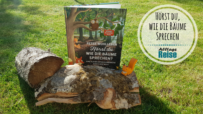 Buchtipp: Hörst du, wie die Bäume sprechen?