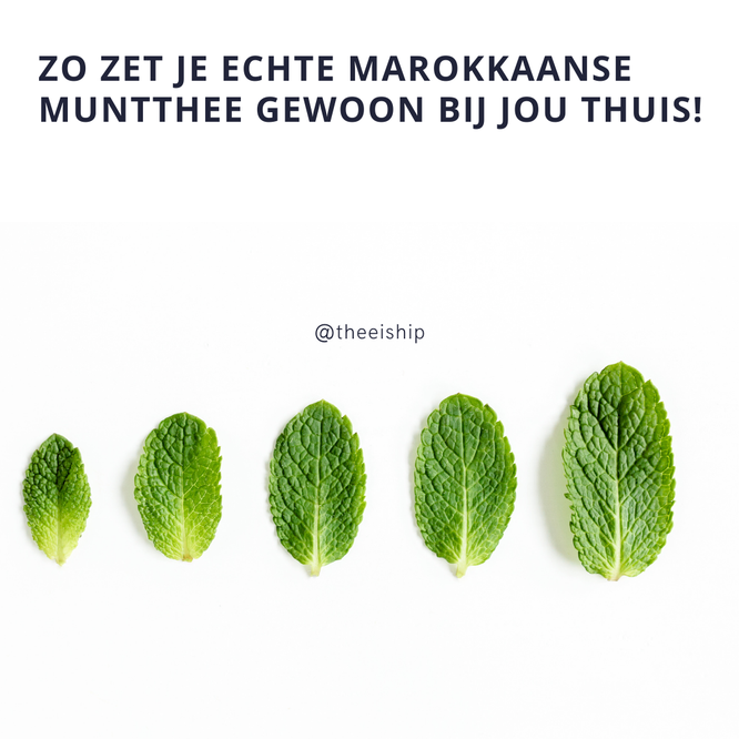 Marokkaanse muntthee by Thee is Hip!