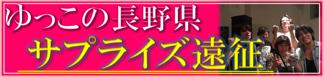 バナーの見本画像