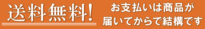 送料無料のPR画像