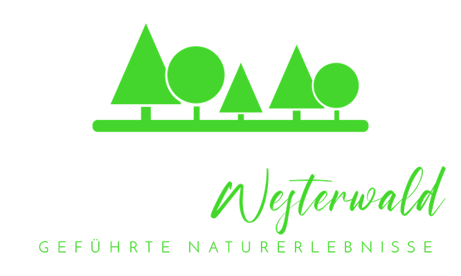 Typisch Westerwald - Wandern & Naturerlebnisse