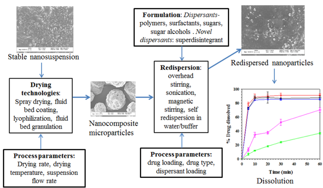 Overview graphic with process parameters, drying technologies, and formulations for nanocomposite microparticles
