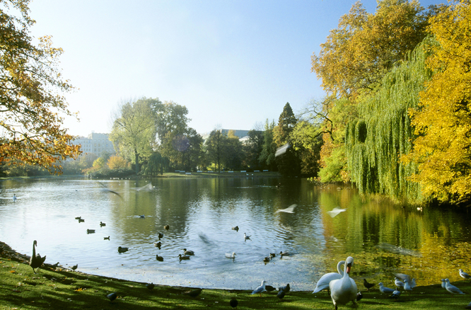 Hofgarten Duesseldorf