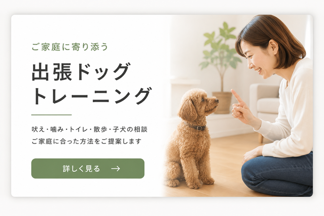 しつけ方トレーニングボタン