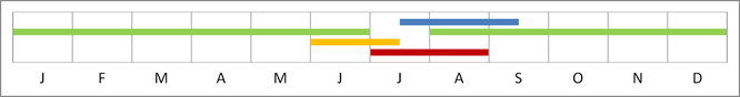 Entwicklungsstadien im Jahresverlauf: Ei (blau), Raupe (grün), Puppe (gelb), Falter (rot)