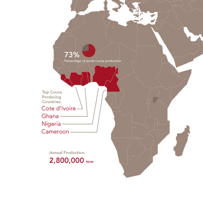 cacao production cacao producing growing countries cocoa information cacao mama