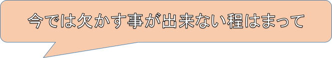 欠かす事が出来ない程はまって