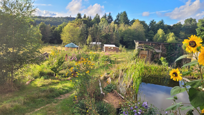 Pfälzerwald Auszeit, Permakultur, Wildkräuter, Entspannung, Erholung, Retreats, Kurse, Fasten, Yoga, Kochkurs, Waldbaden, Digital Detox, Firmenretreat, Freiluft Atelier, Refugium, Waldgarten
