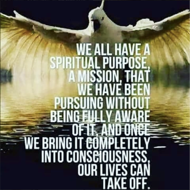 photo source: Instragram @inspirepoland