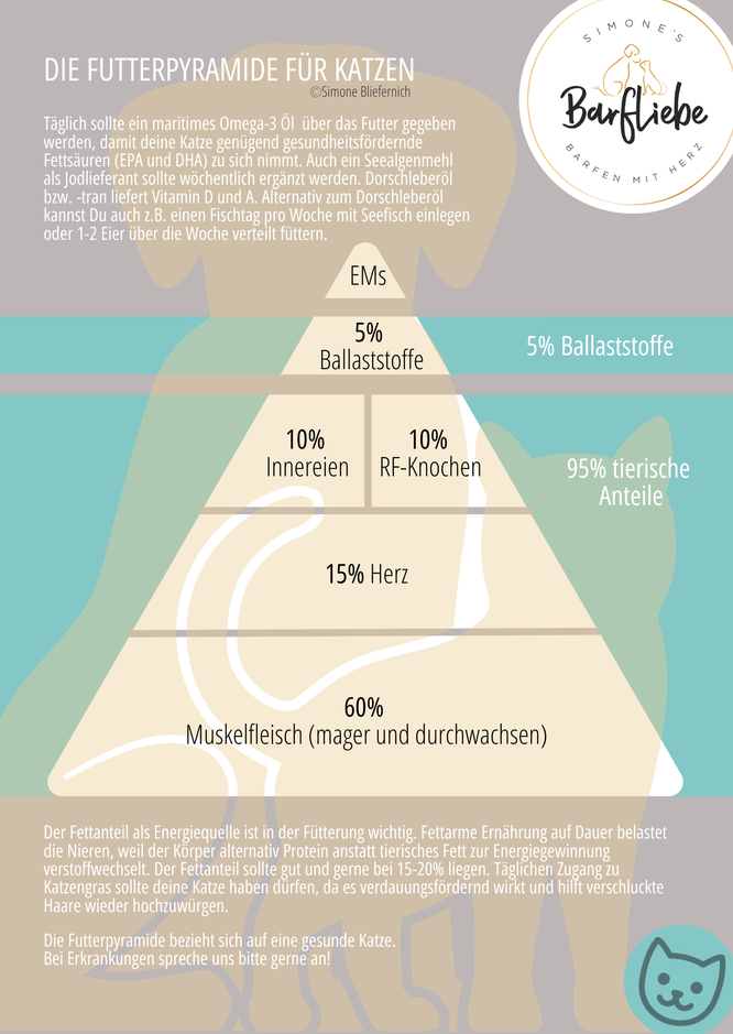 Futterpyramide für Katzen BARF
