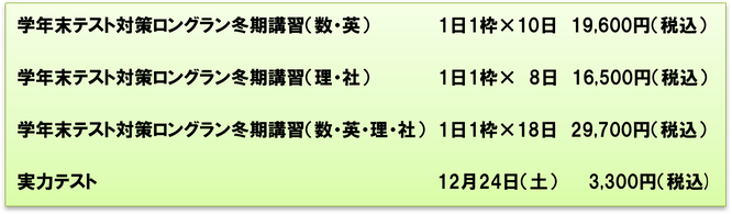 ロングラン冬期講習　学習教科・学習日数・費用　