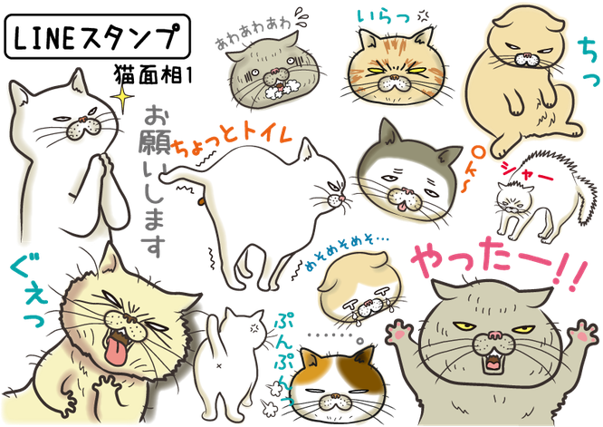 ブサ猫館のこと ブサ猫web