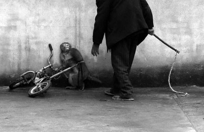 Yongzhi Chu/World Press Photo