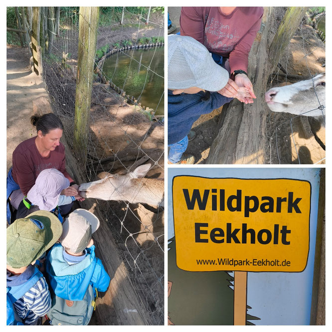 Ein Ausflug in den Wildpark Eekholt ist immer wieder schön, spannend und aufregend...