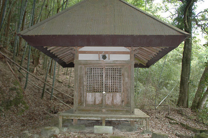 ○ ネズとモッコク - 猪名川町観光 なんでもガイド