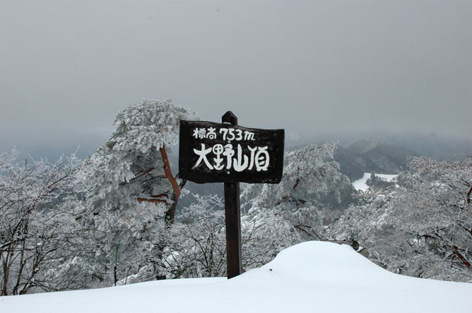 大野山積雪
