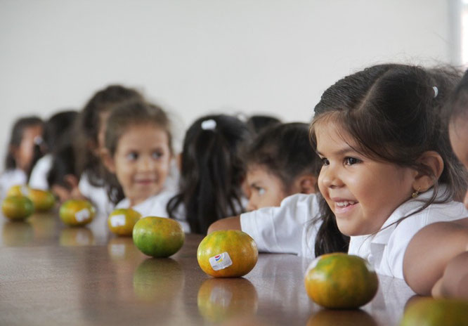Mandarinas en una mesa de niñas escolares. Manabí, Ecuador.