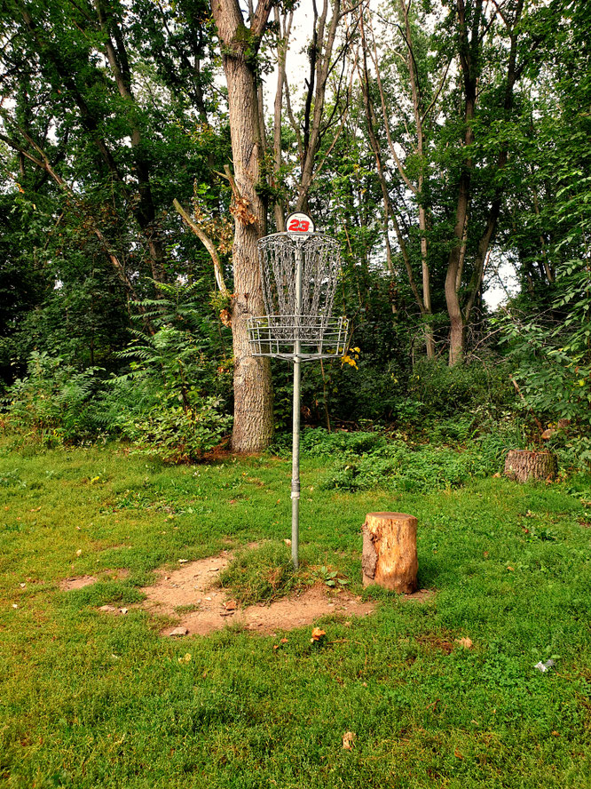 Die besten Parcours in Hessen Discgolf Germany