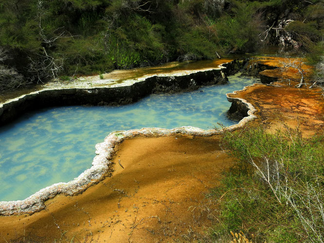 Das Waimangu Volcanic Valley