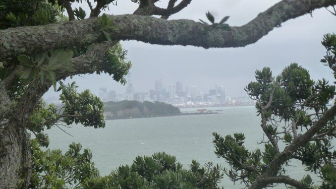 Bild: Regen in Auckland