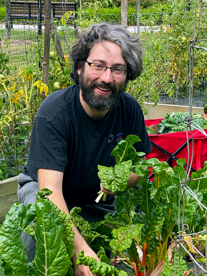 Jonathan Magrisso pulls vegetables for Jewish Family Service Heldman Family Food Pantry from the garden at Hebrew Union College-Jewish Institute of Religion. 