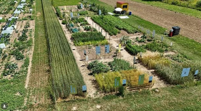 Unser Ziel: Der Weltacker Wetterau in Friedberg-Fauerbach