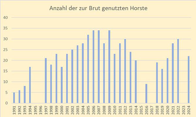  Abb. 2: Diagramm der Entwicklung der Kolonie seit 1991 mit polynomischer Trendlinie,  A. Welzel nach Daten von A. Welzel, P. Uebelgünne und NABU-Hagen