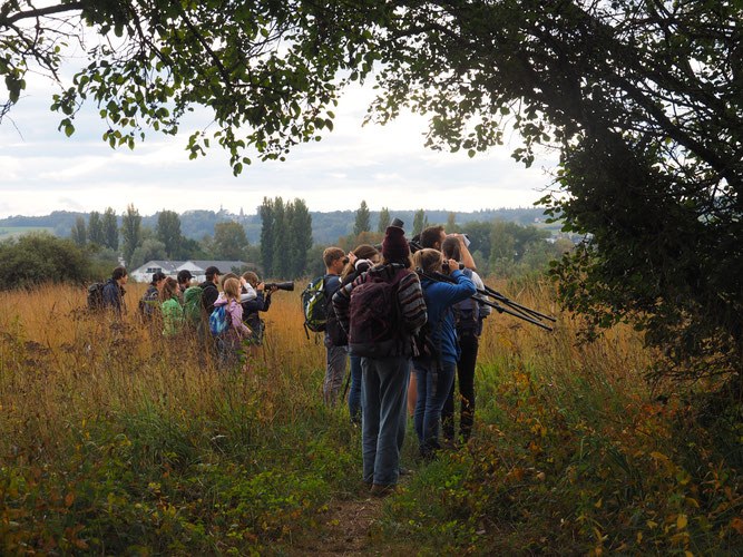 Eine Führungsgruppe ist unter Leitung des NABU auf Entdeckungstour im Wollmatinger Ried 