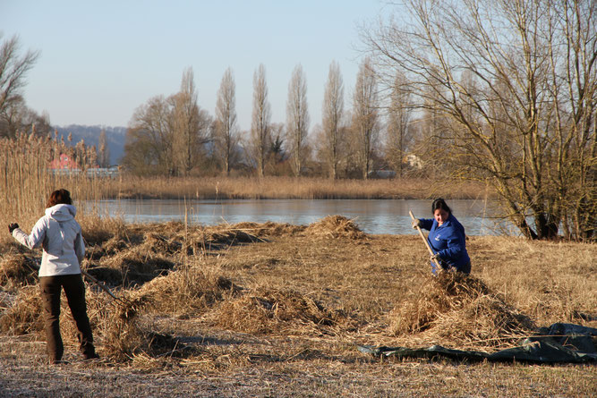 Raus in die Natur und dabei Gutes tun - Foto: NABU/J. Herzer