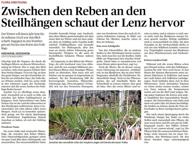 Presseartikel aus dem Neckar-Enz-Boten vom 18.02.2025