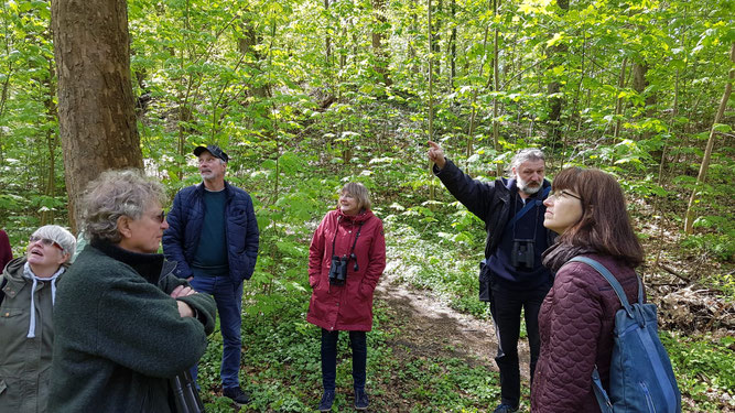 Andreas Albig vom NABU erläutert auf seiner Führung den 170 Jahre alten Baumbestand am "Schwarzen Berg" in Stade