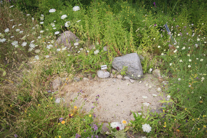 Foto: Sandarium, NABU Naturgarten Hamburg, Quelle: NABU/Thomas Dröse