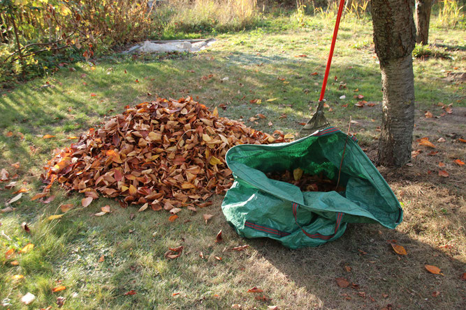 Laubharken und Besen sind gut für Natur und Gesundheit (Foto: Eric Neuling)