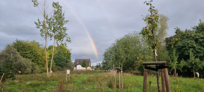 Die NABU Streuobstwiese Fredersdorf-Vogelsdorf