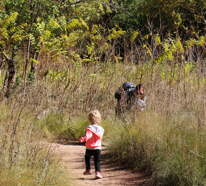 Sedona Family Travel