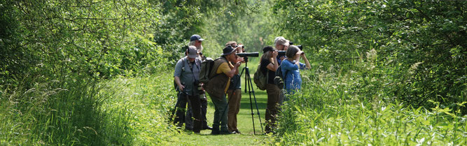 Foto: © Barbara Rüdenauer