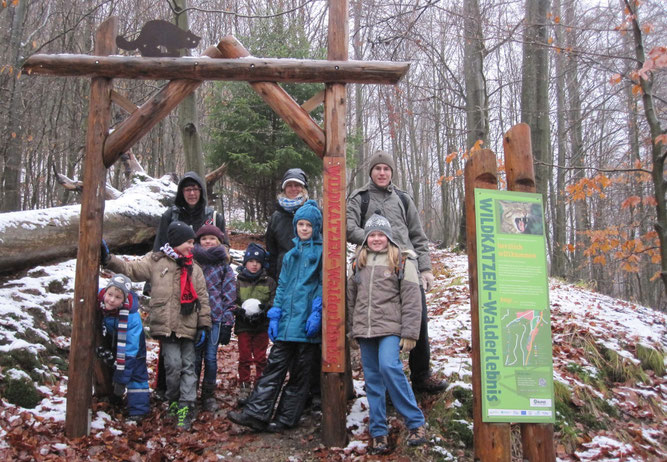 Der Wildkatzen-Lehrpfad in Bad Harzburg