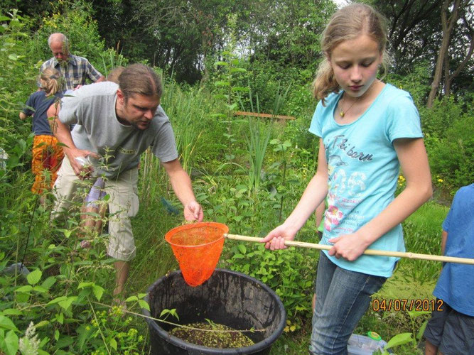 Die Kinder hatten viel Spaß beim Käschern im Teich des BUND-Gartens. Unter Anleitung von Dietrich Görtz und Eckart Prause wurden die kurzzeitig gefangenen Tiere sofort in Wasserbehälter umgesetzt und danach rasch bestimmt, bevor sie wieder zurück kamen.