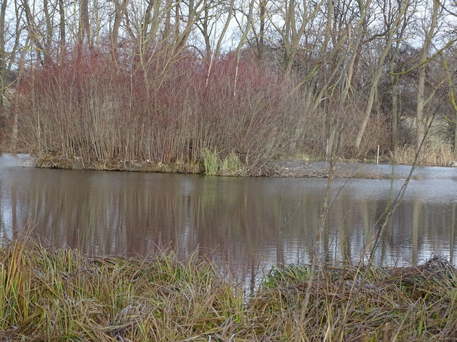 Foto: NABU Ilm-Kreis