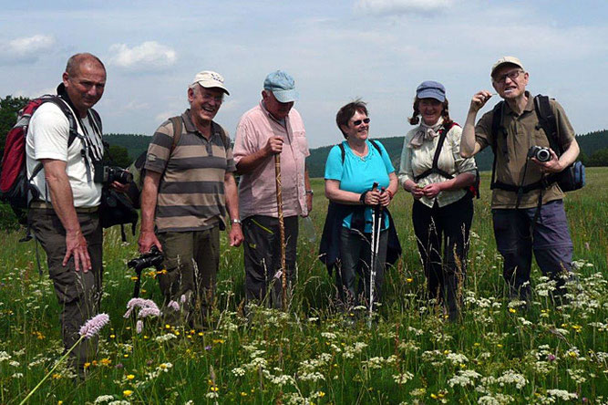 Im Rahmen des "Langen Tags der Natur" 2015 lernten die Teilnehmer während einer Wanderung des NABU Ilm-Kreis durch Bergwiesen bei Gehlberg viele spannende Kräuter und ihre Anwendung kennen. Foto: NABU Ilm-Kreis